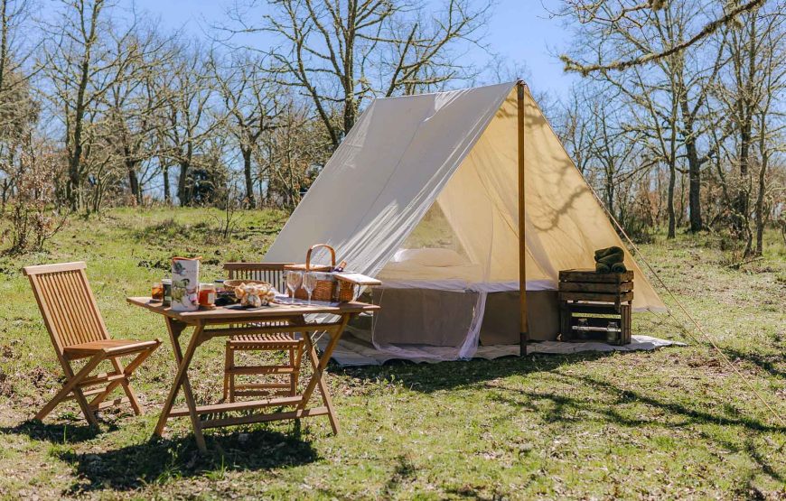 Safari Experience in the Greater Côa Valley