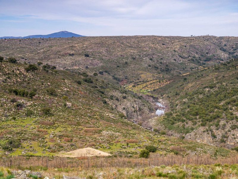 Ermo das Aguias rewilding area