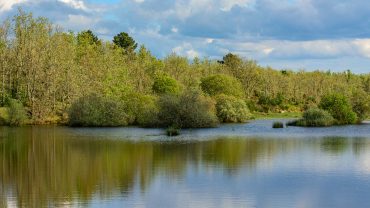 Paul de Toirões rewilding area