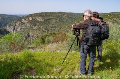 Douro Photo Tour