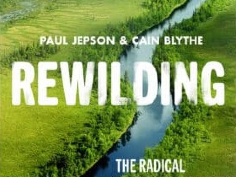Rewilding