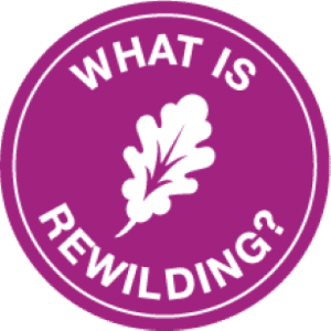 Rewilding Course Module 1 badge
