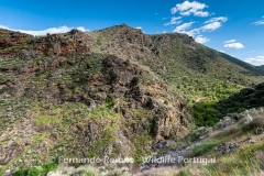 Mosteiro stream valley