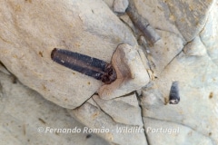 Geoparque Oeste