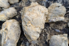 Geoparque Oeste