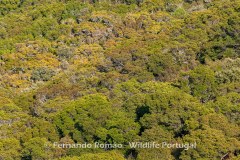 Malcata Natural Reserve