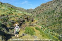 Hiking at Alpajares Causeway