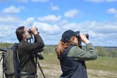 Birdwatching