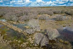 Paul de Toiroes rewilding area