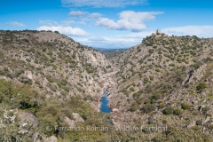 Erges River canyon