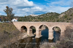 Roman bridge