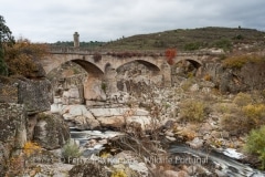 Old bridge over Coa River