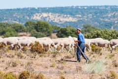 Shepherd at Tejo Internacional Nature Park